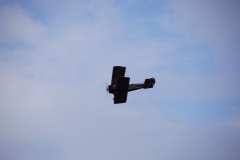 Freundschaftsfliegen